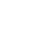 government government